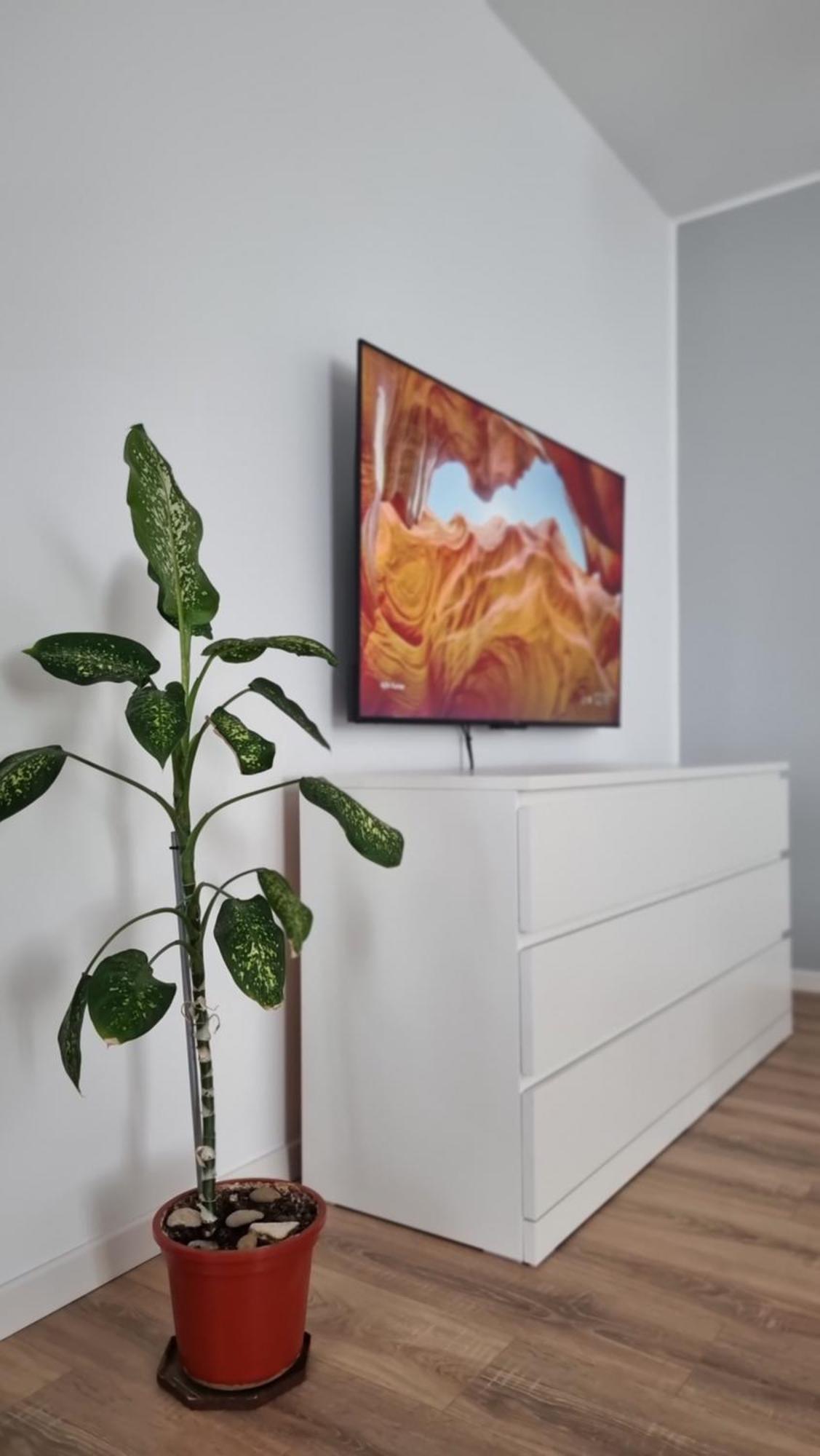 Bliss Nest - Cazare Spital Fundeni Appartement Boekarest Buitenkant foto